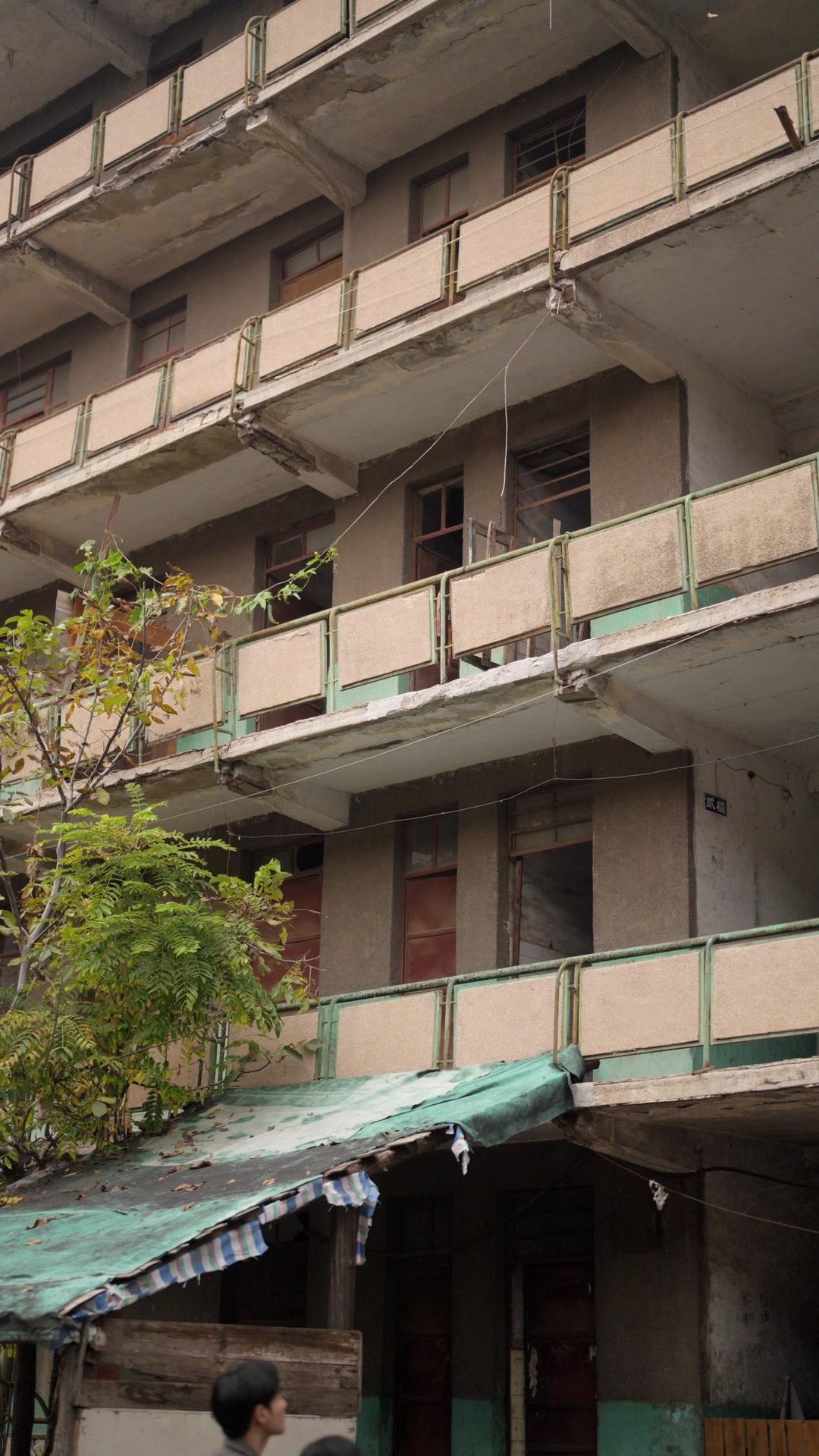 Kader Tohumları
