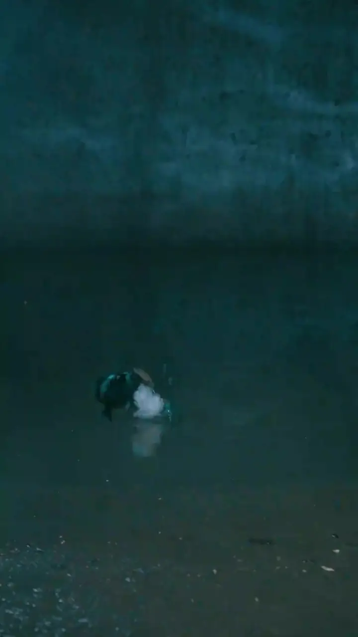 Episode 4