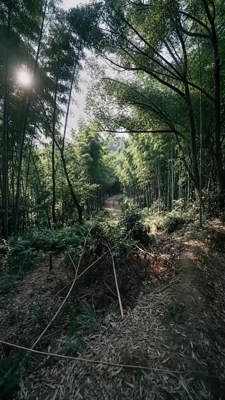 Episode 50