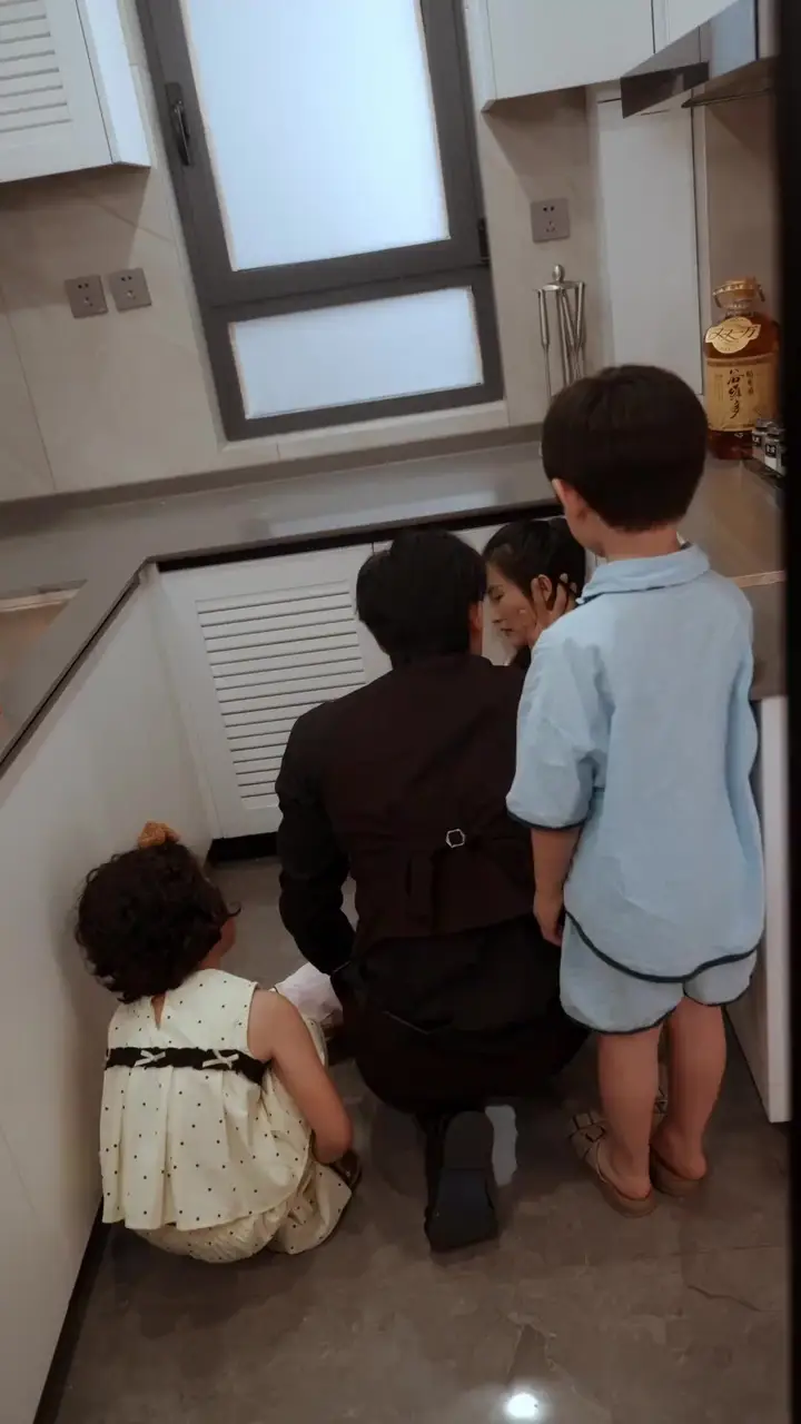 The Billionaire's Two Little Cupids Episode 27