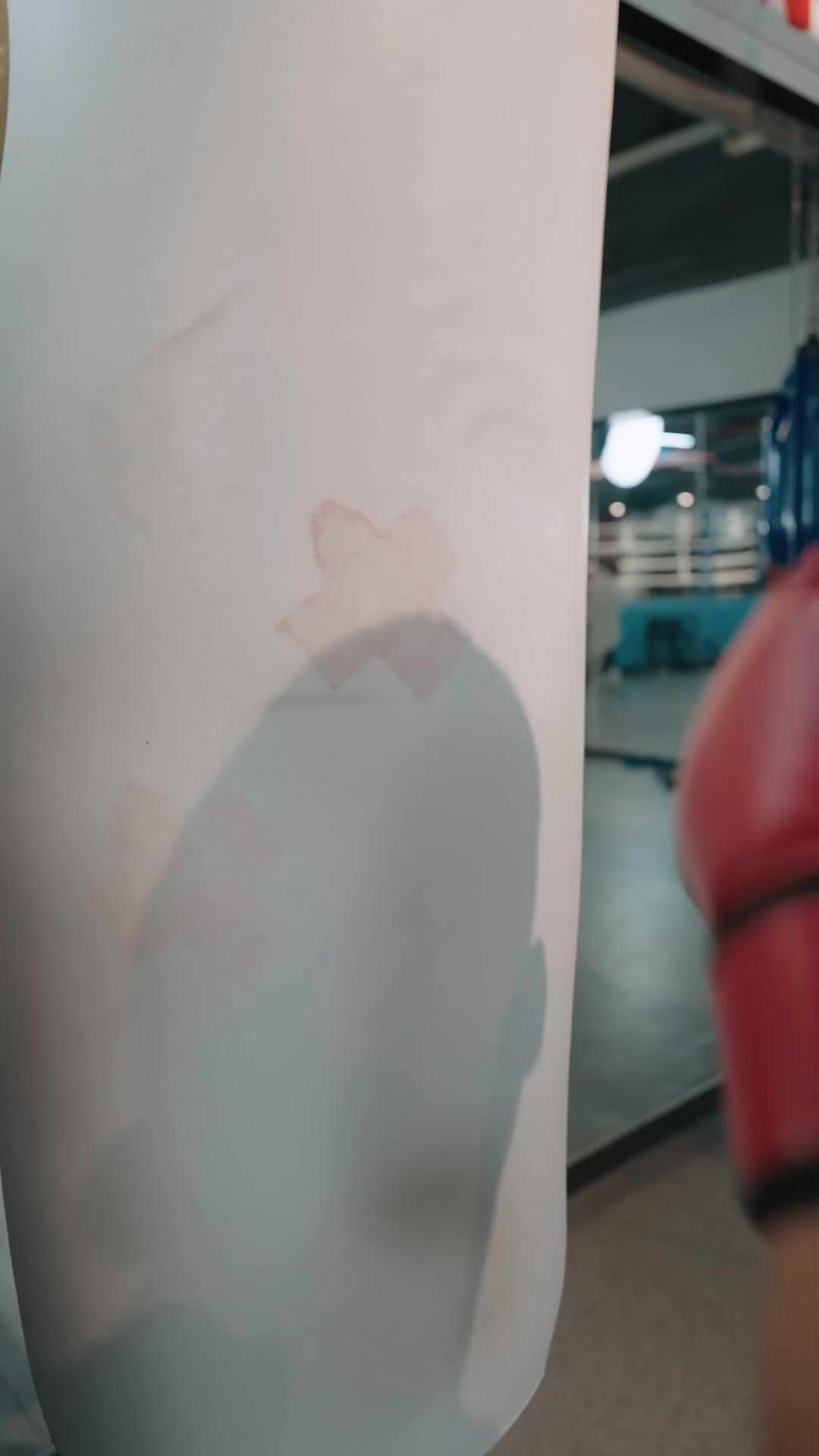 Campeón de boxeo