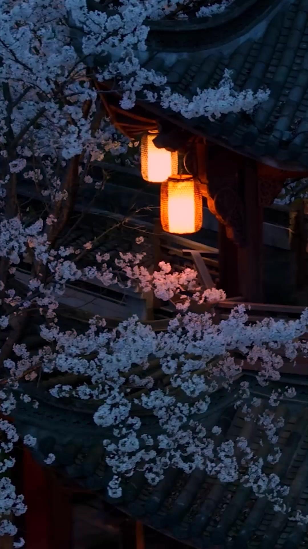 왕의 그림자