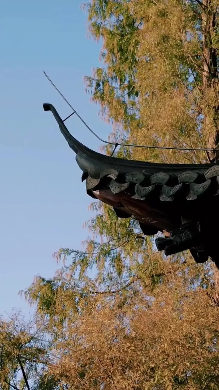 Episode 26