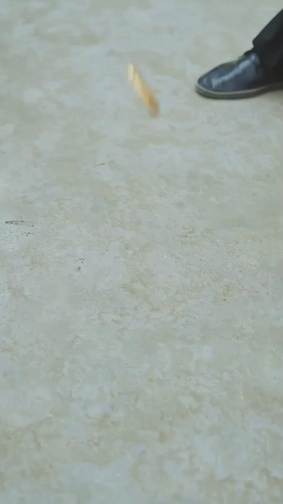 Cinzas da Vingança
