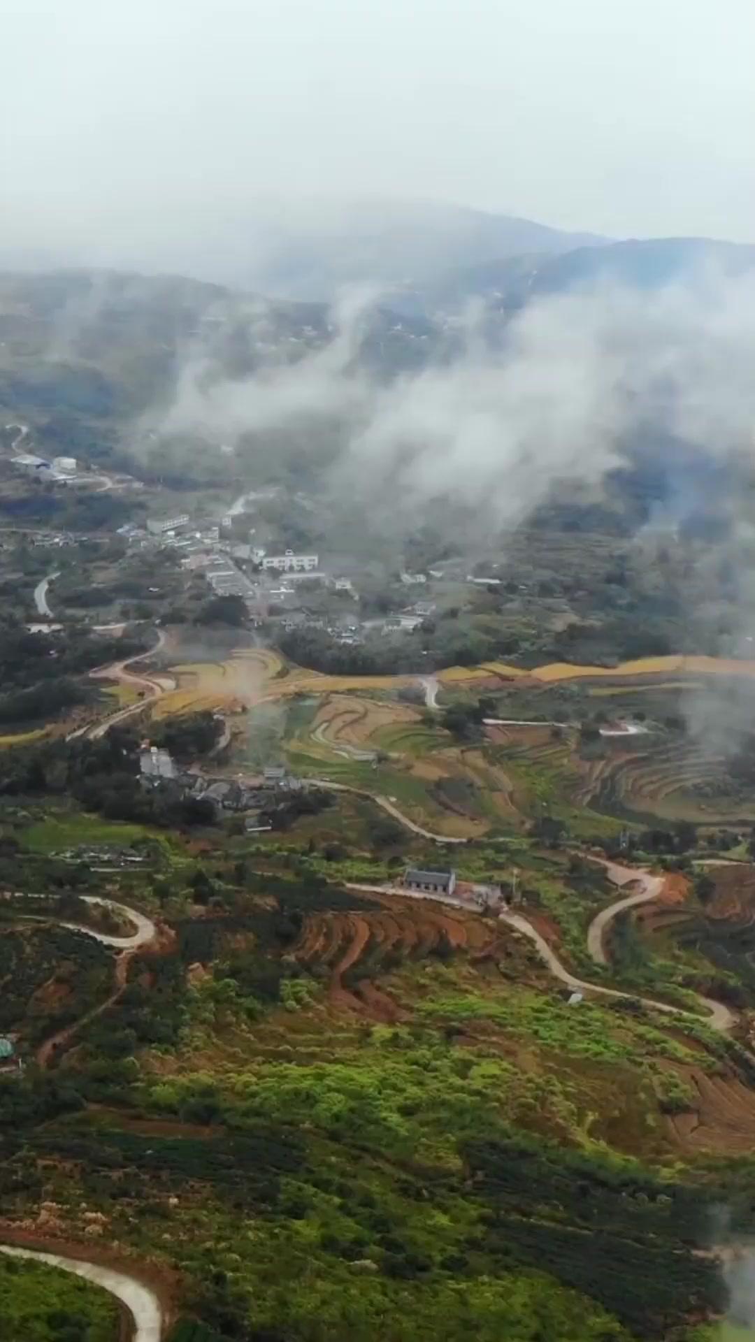 보상금 전쟁