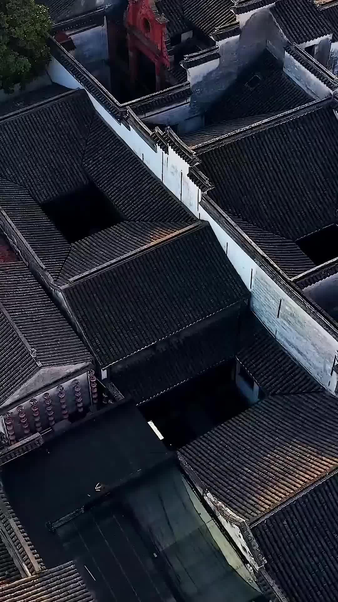 Ascensão do Guerreiro