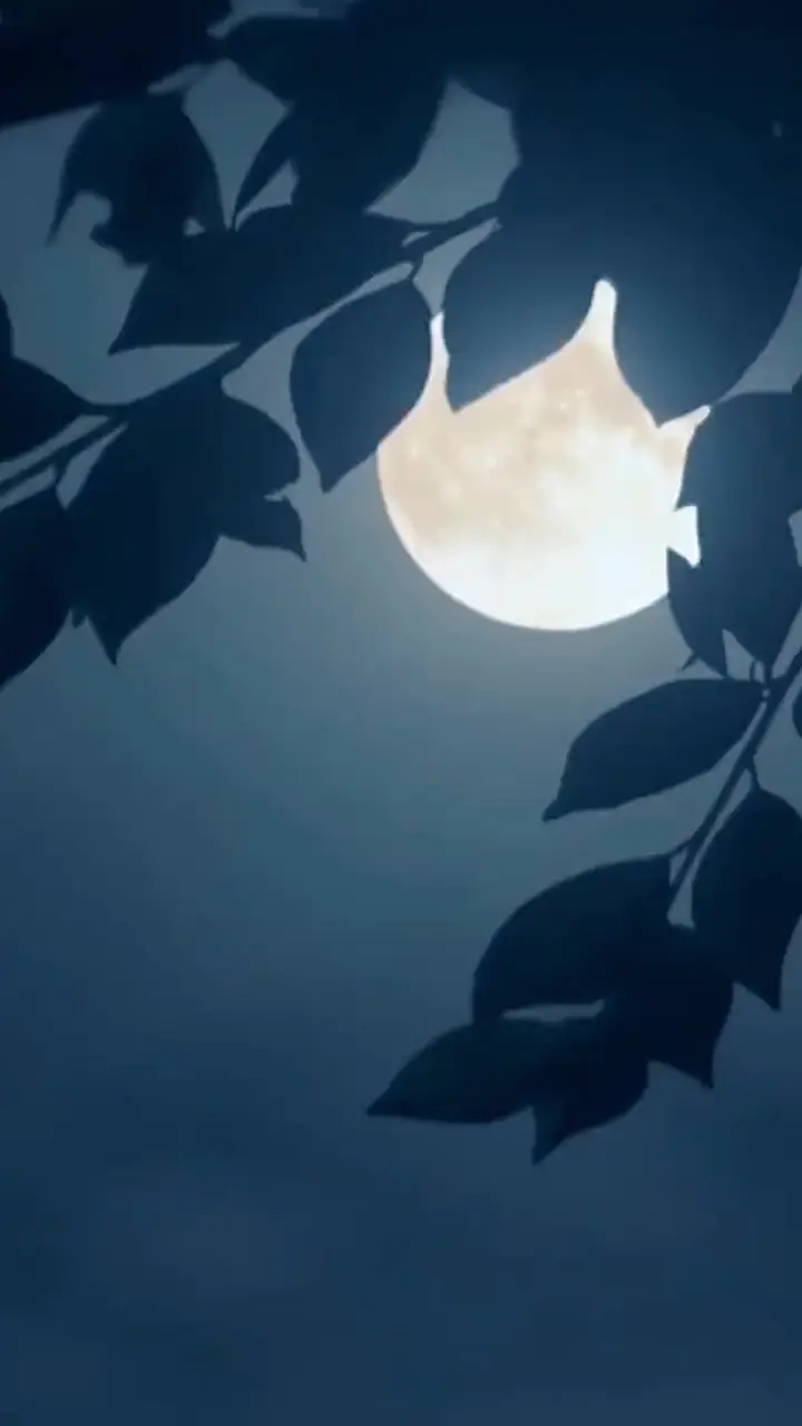Episode 20