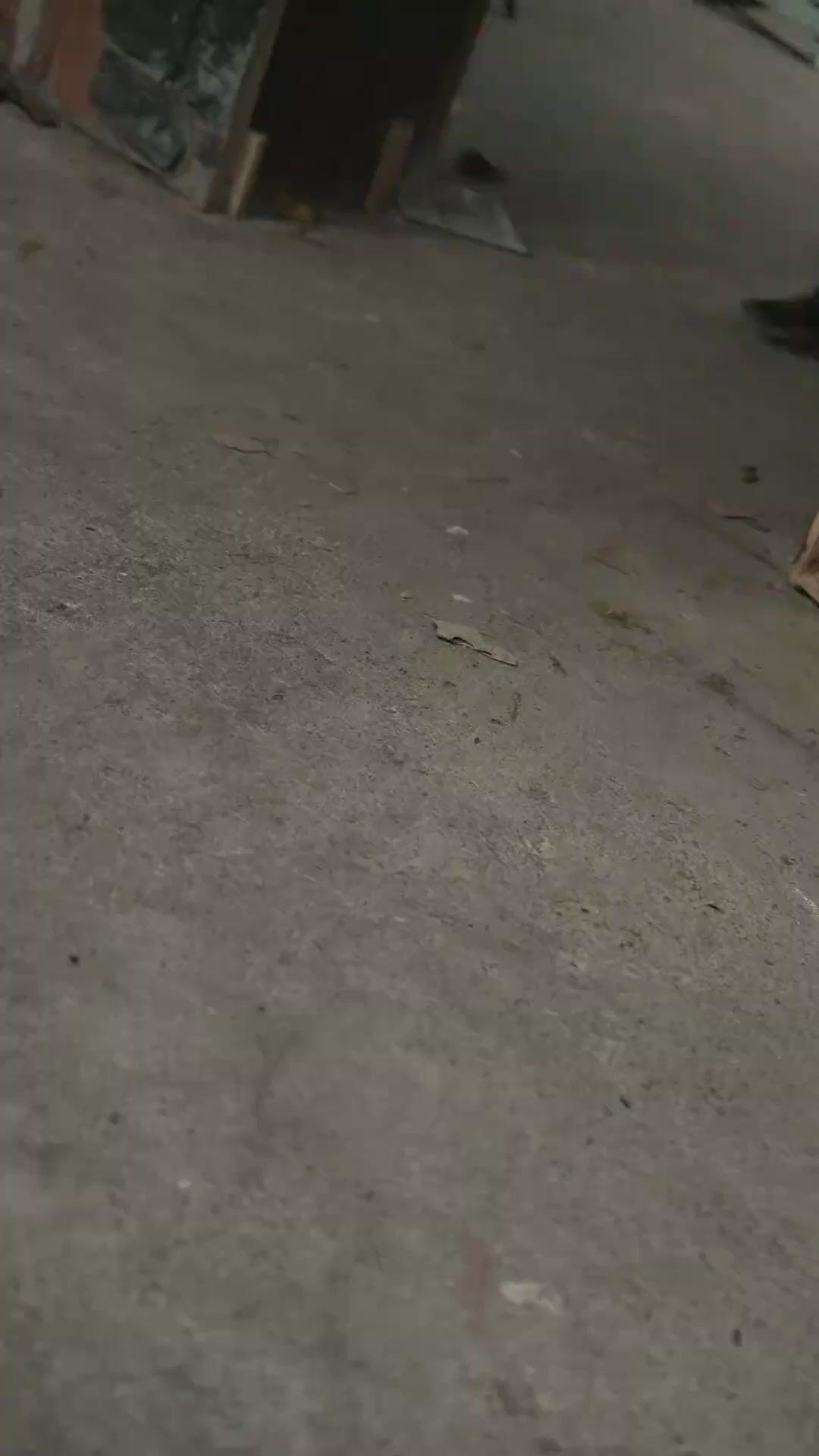 (Doblado) Alzo el filo del Este