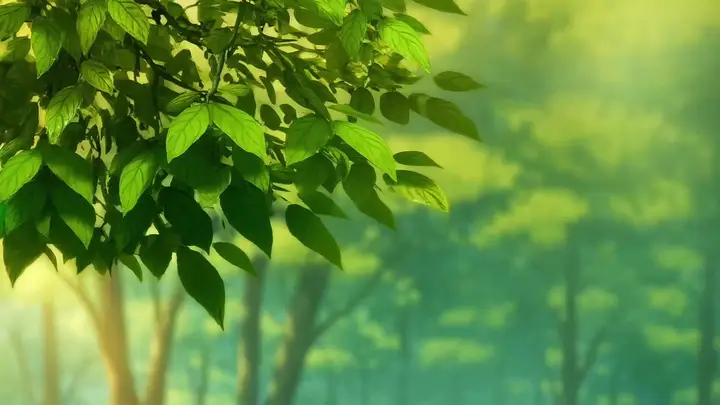 Episode 22