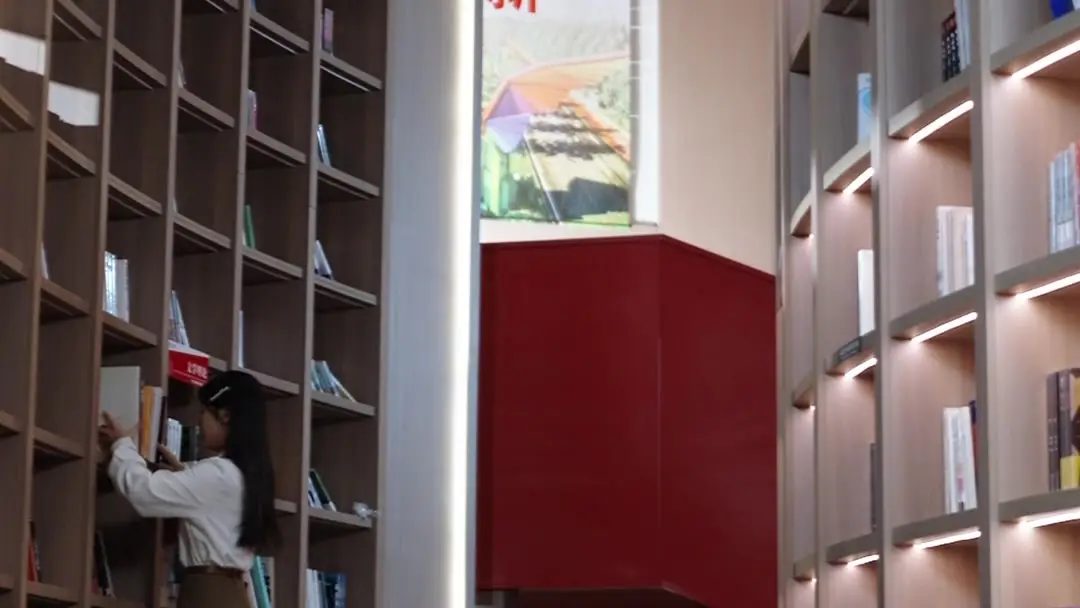 Try Stopping Me? Good Luck — The Bookshelf Collapse and the Unspoken Truth