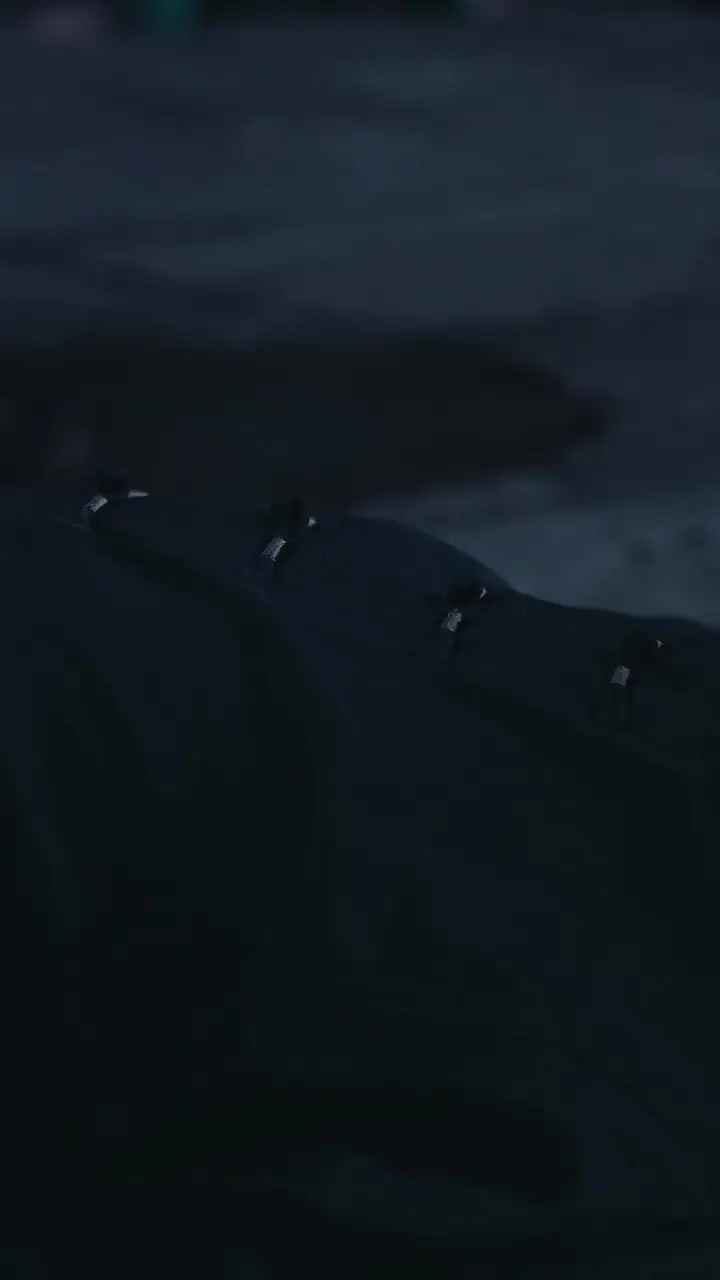Episode 41
