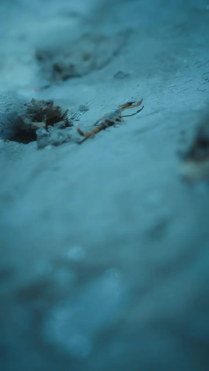 Episode 43