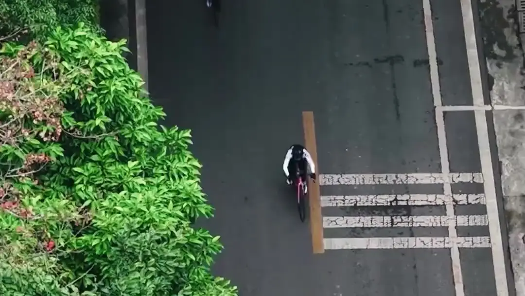 Finish Line, Dead End: The Pink Bike and the Black Rose