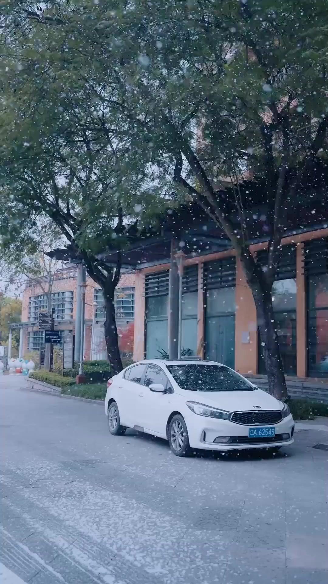 얼어붙은 아이