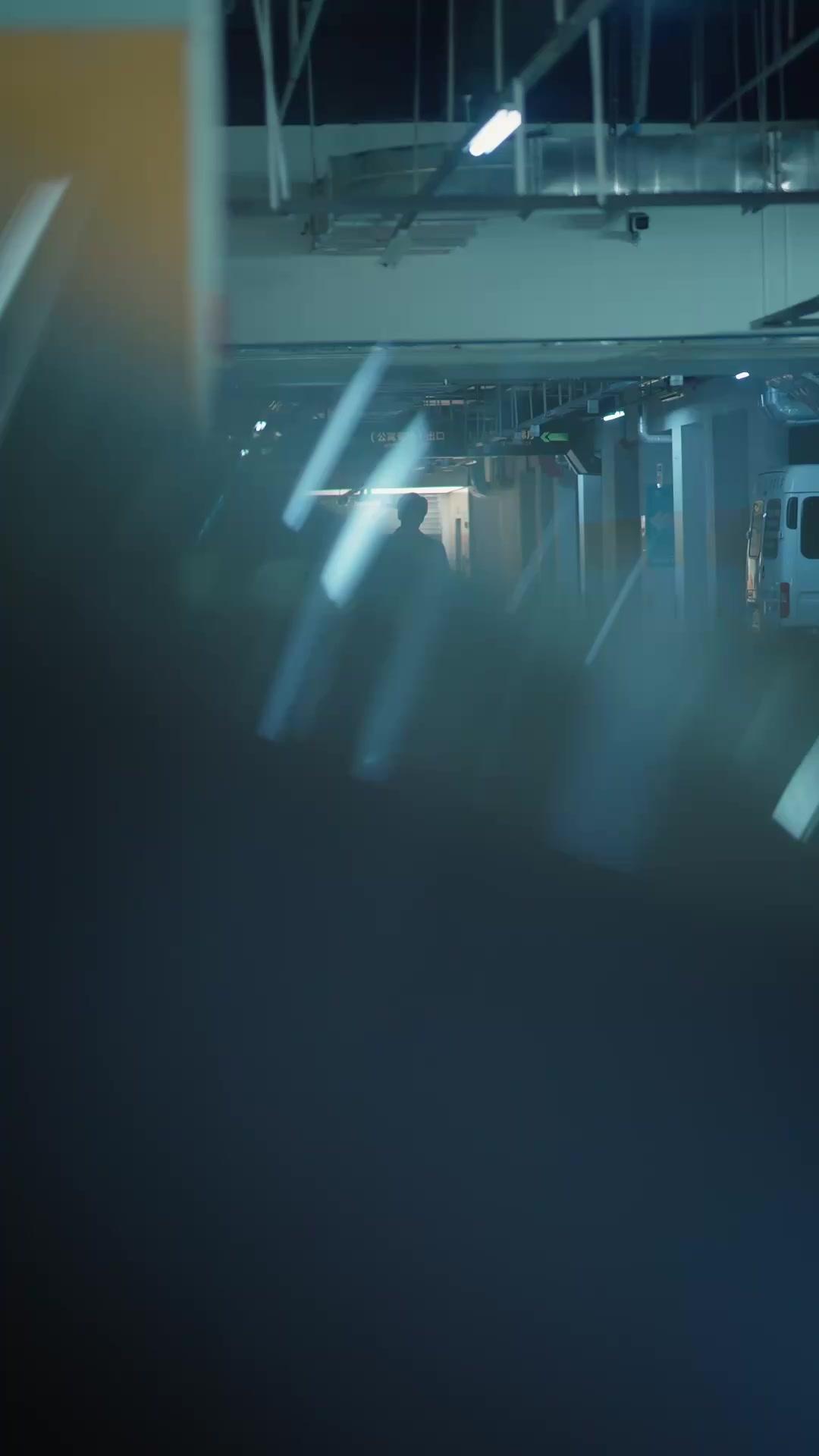 Das erwachte Licht