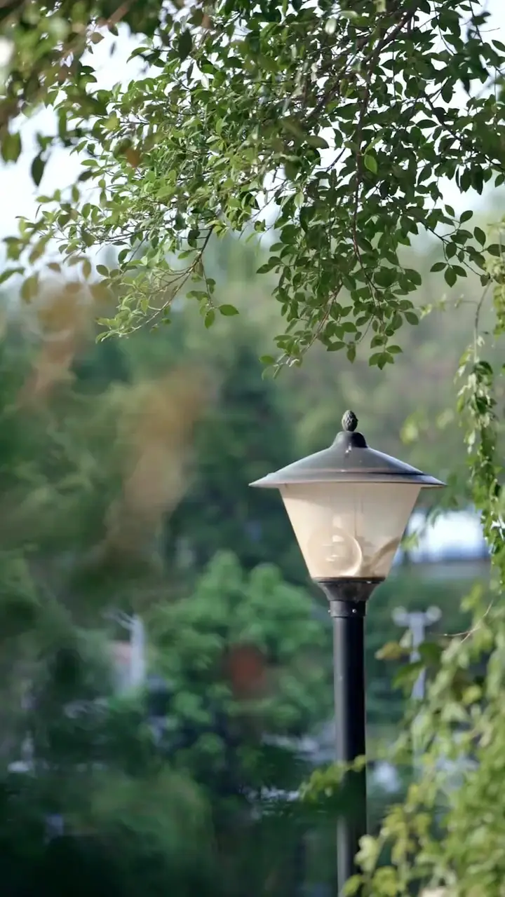 Unutulan Geceden Doğan Ses Bölüm 4