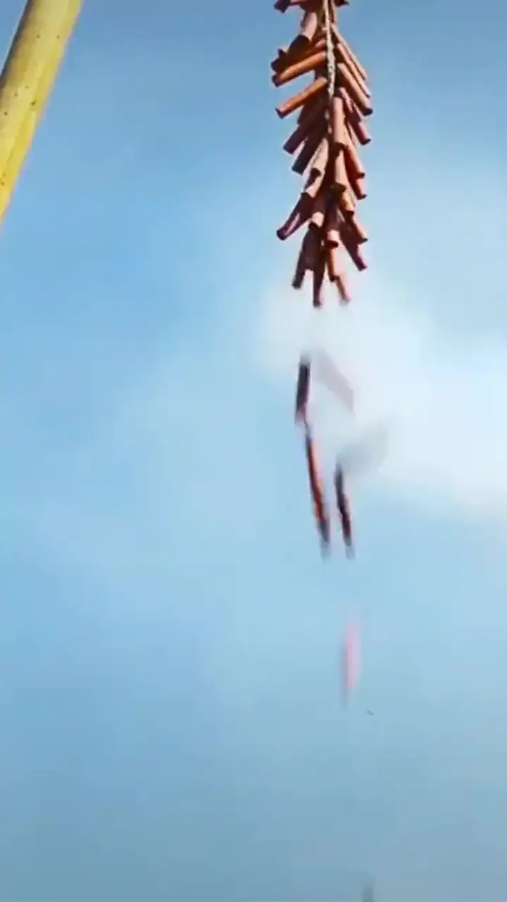 Sarayın Gerçek Hanımı Bölüm 4
