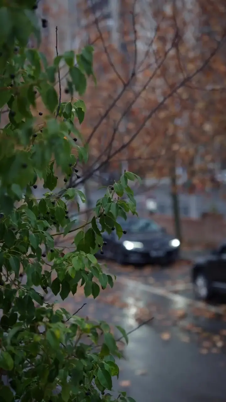 Sıradışı Yeğen Bölüm 4