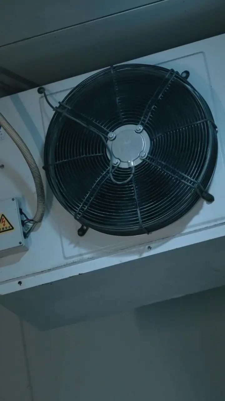 Kaan Bey eziyet etmeyin, siz aslında kardeşsiniz! Bölüm 83