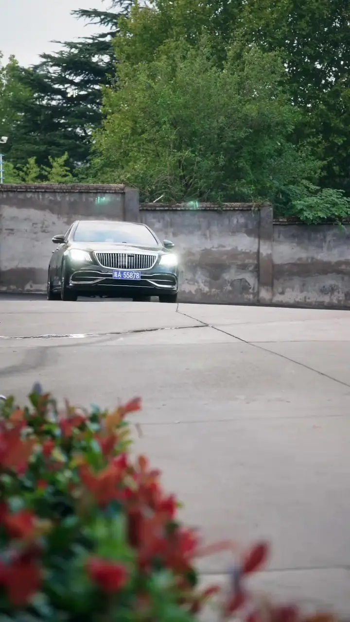 Married the Billionaire’s Father in a Senior Home? Episode 56