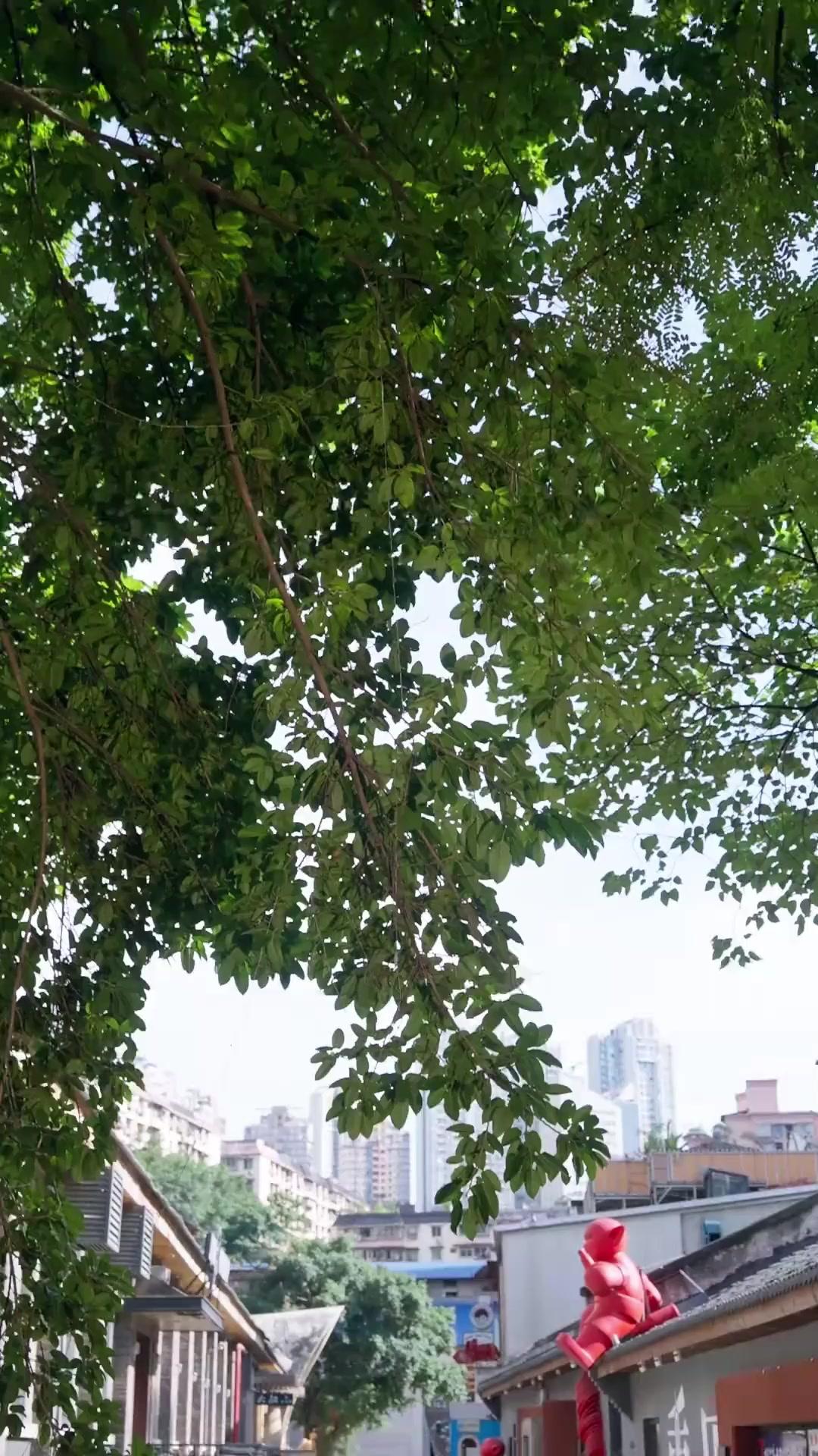 Me jugaste, ahora págalo