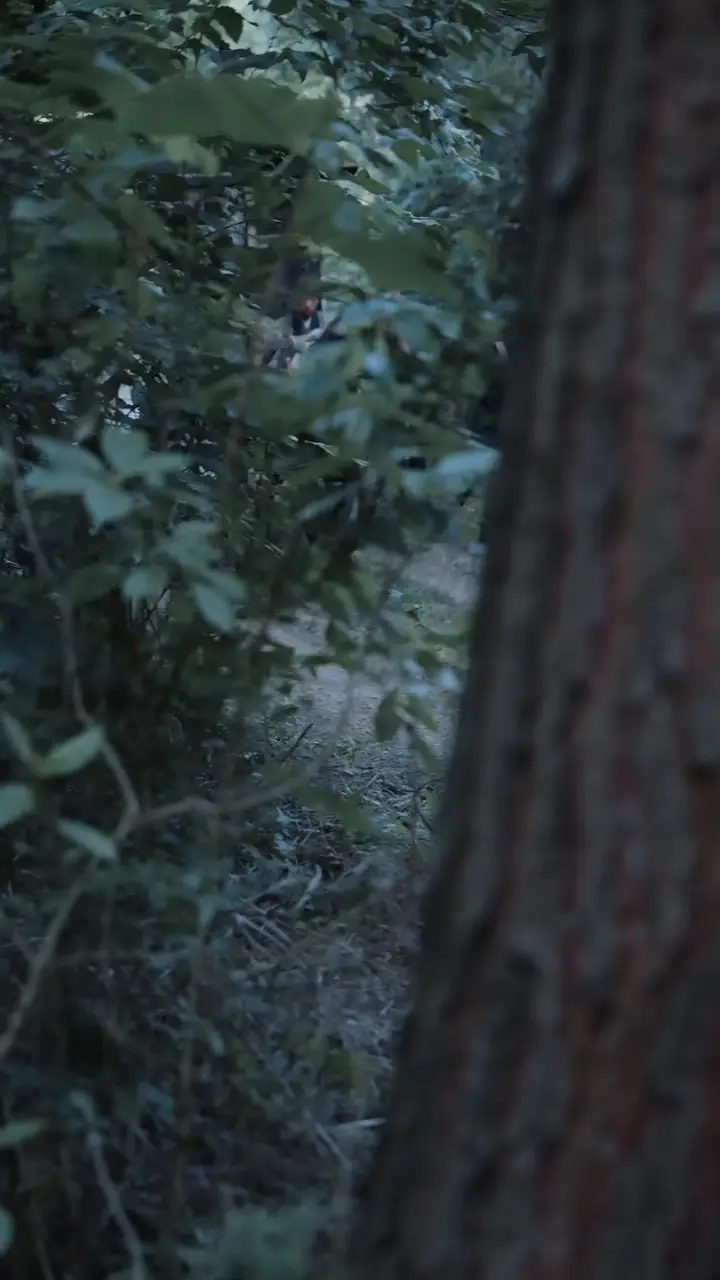 Episode 11