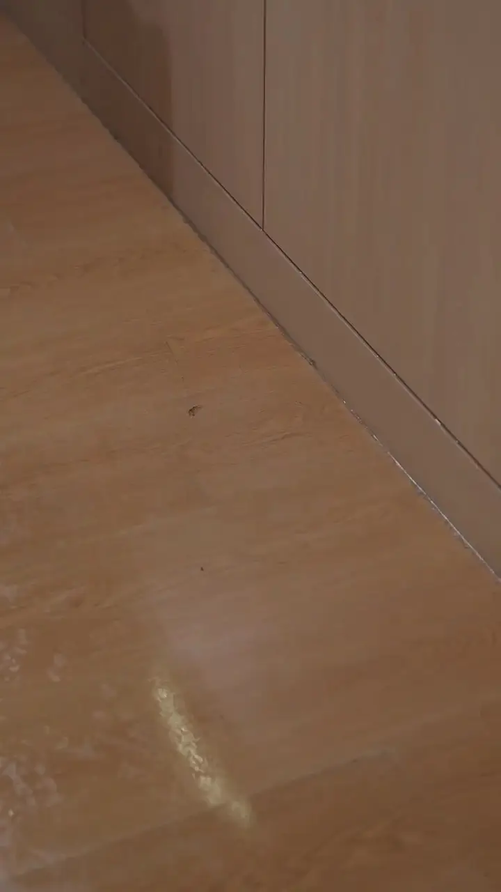 Kendi Kozasında Donan Sonbahar Bölüm 14