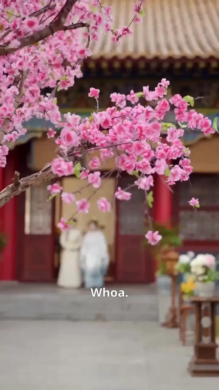 Episode 28