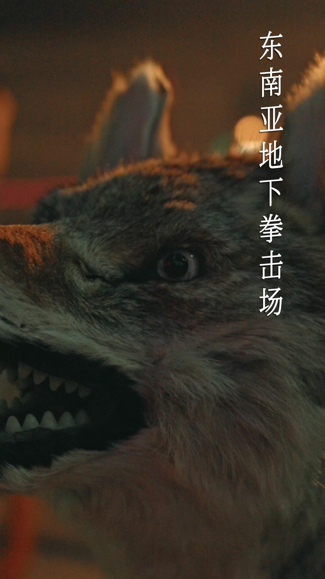墮入你的棋局