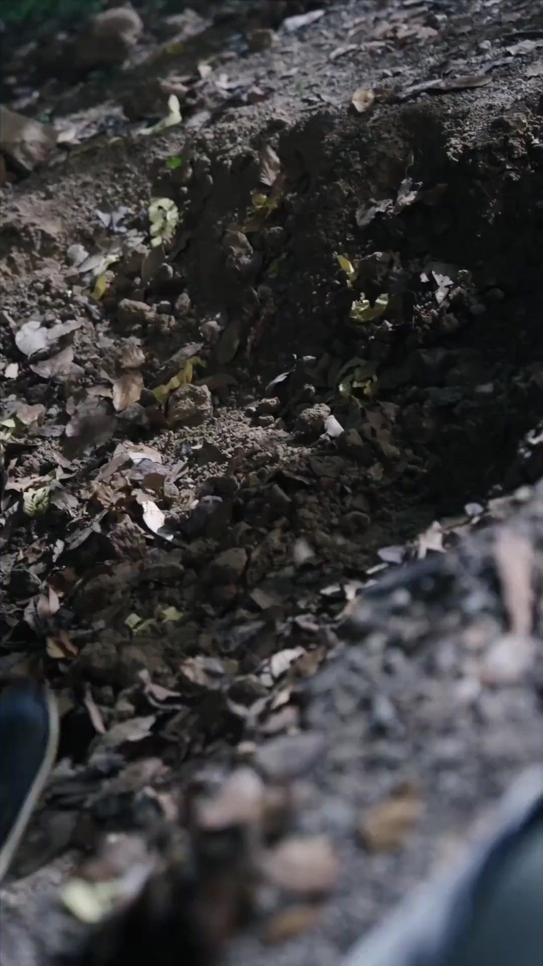 LUMIÈRE SOLITAIRE