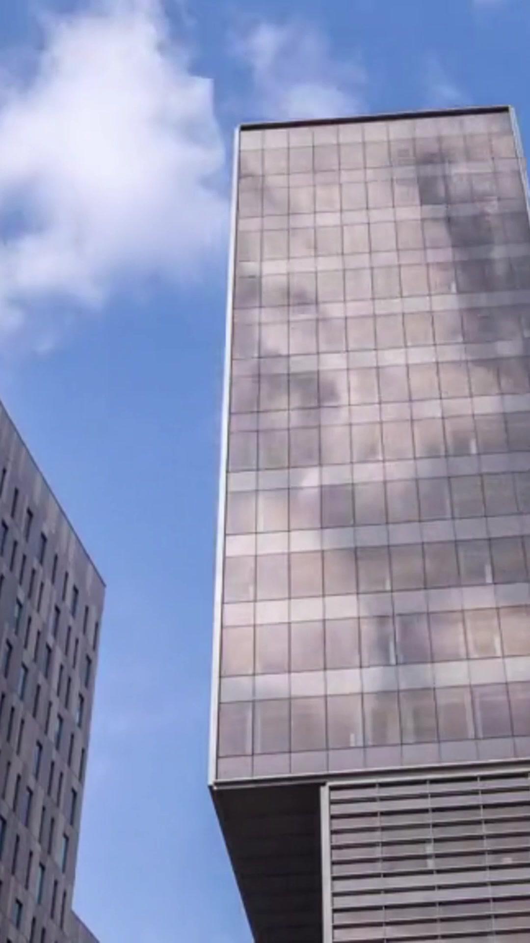 Shattered Promises