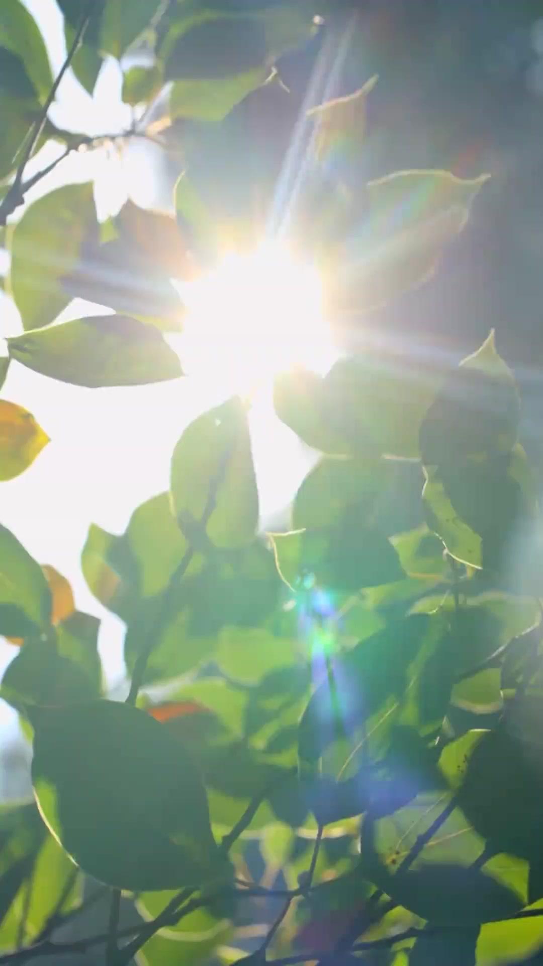 Renacer en tus brazos