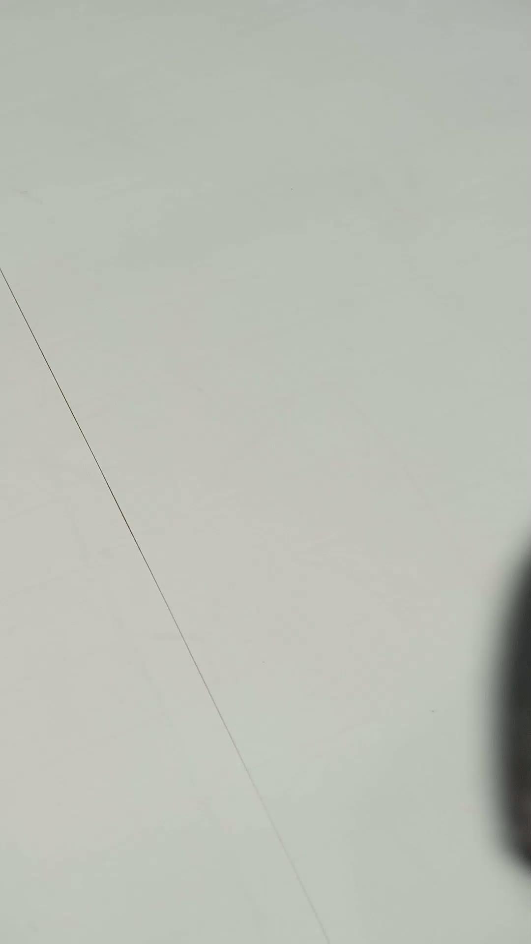 Son Raunt