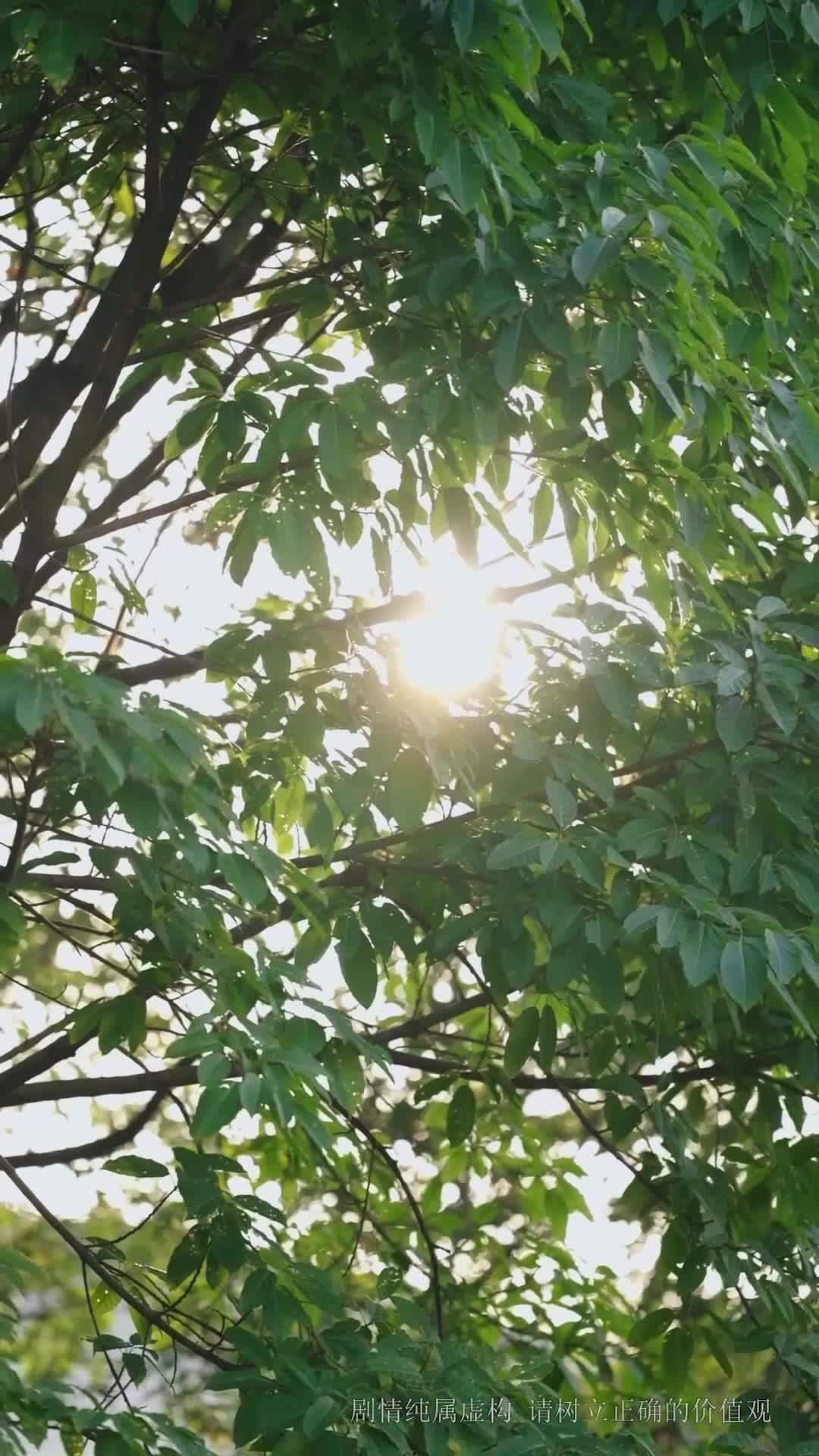 Pasangan Bangga