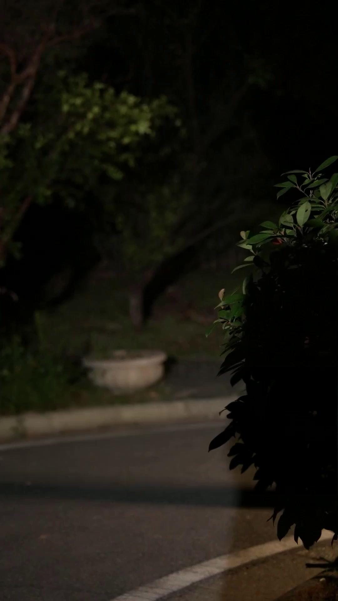 Dawn'ın Yargısı