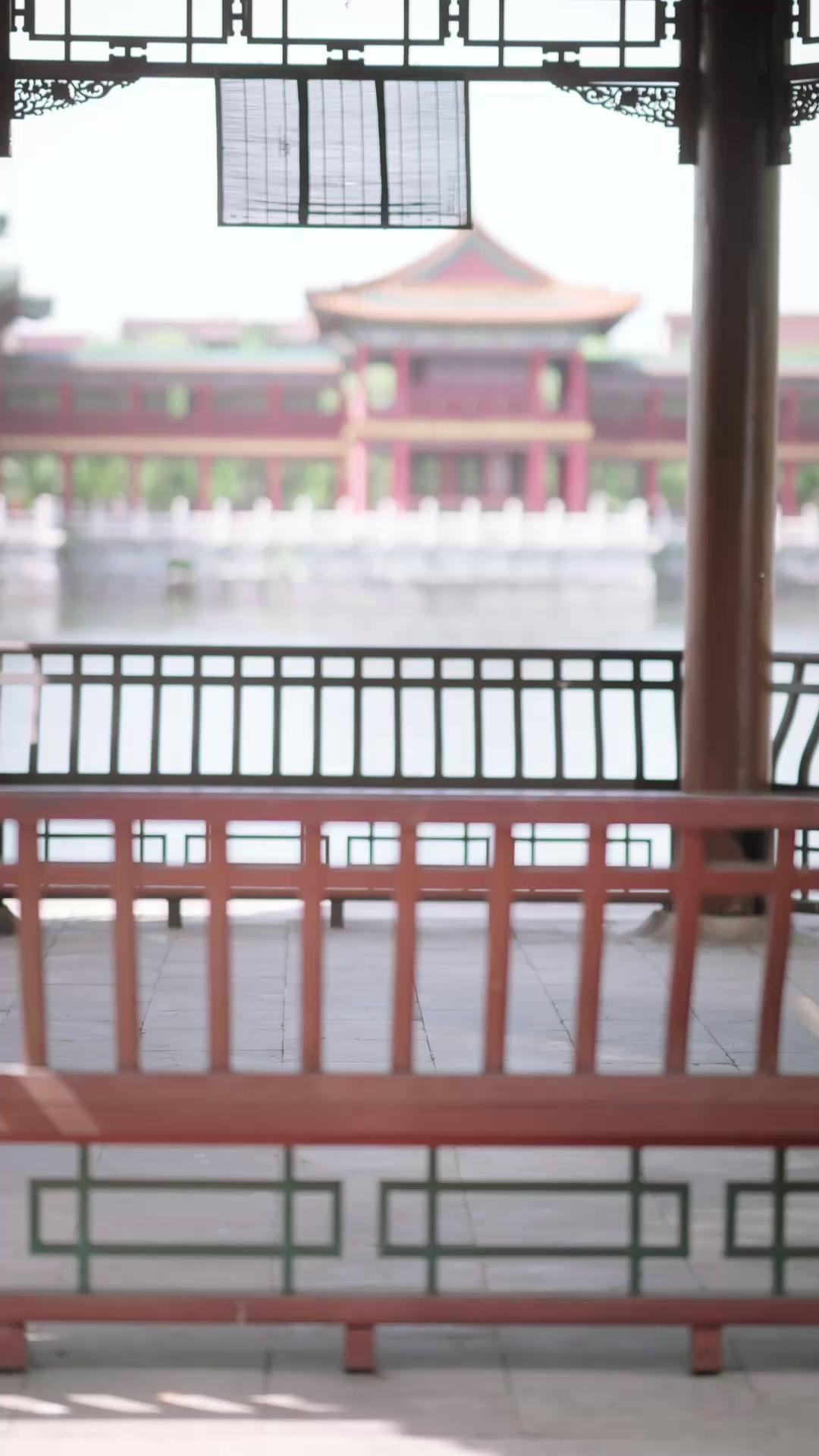 龍と剣：忘却戦姫と病弱太子