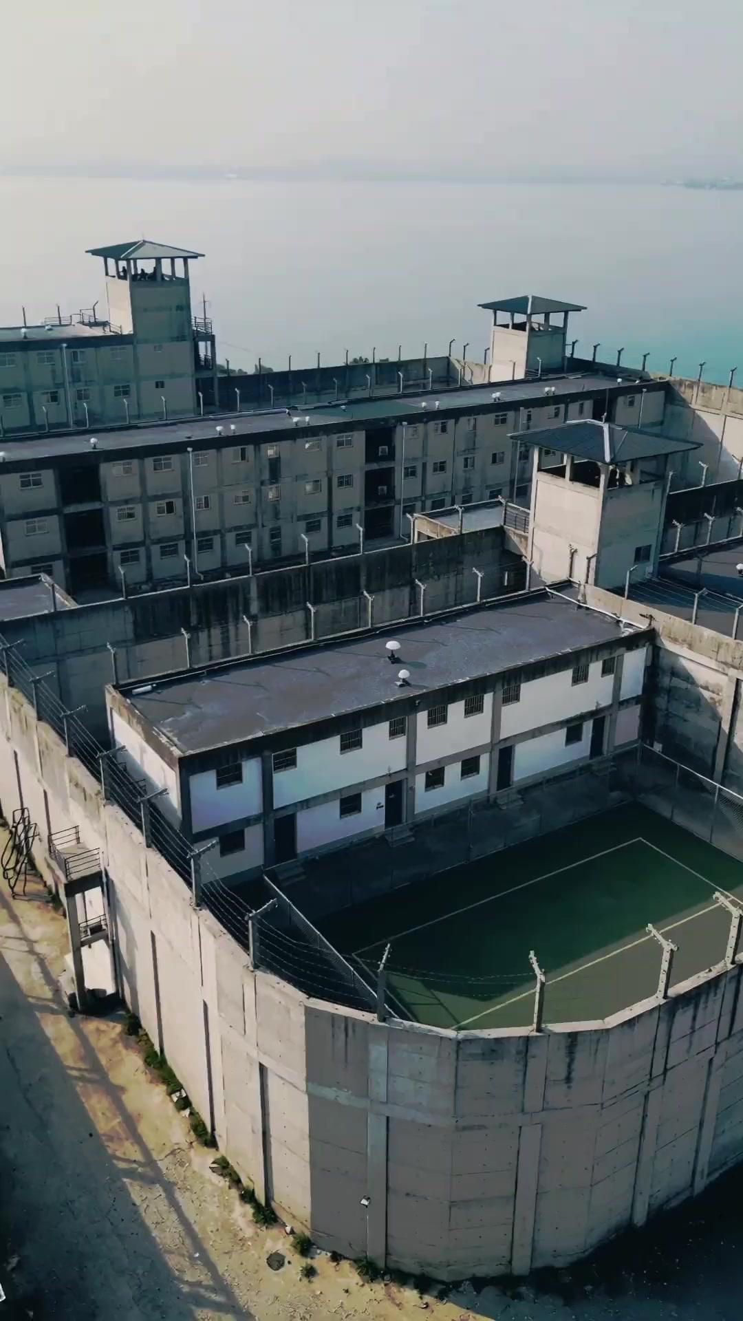 狂龍が如く