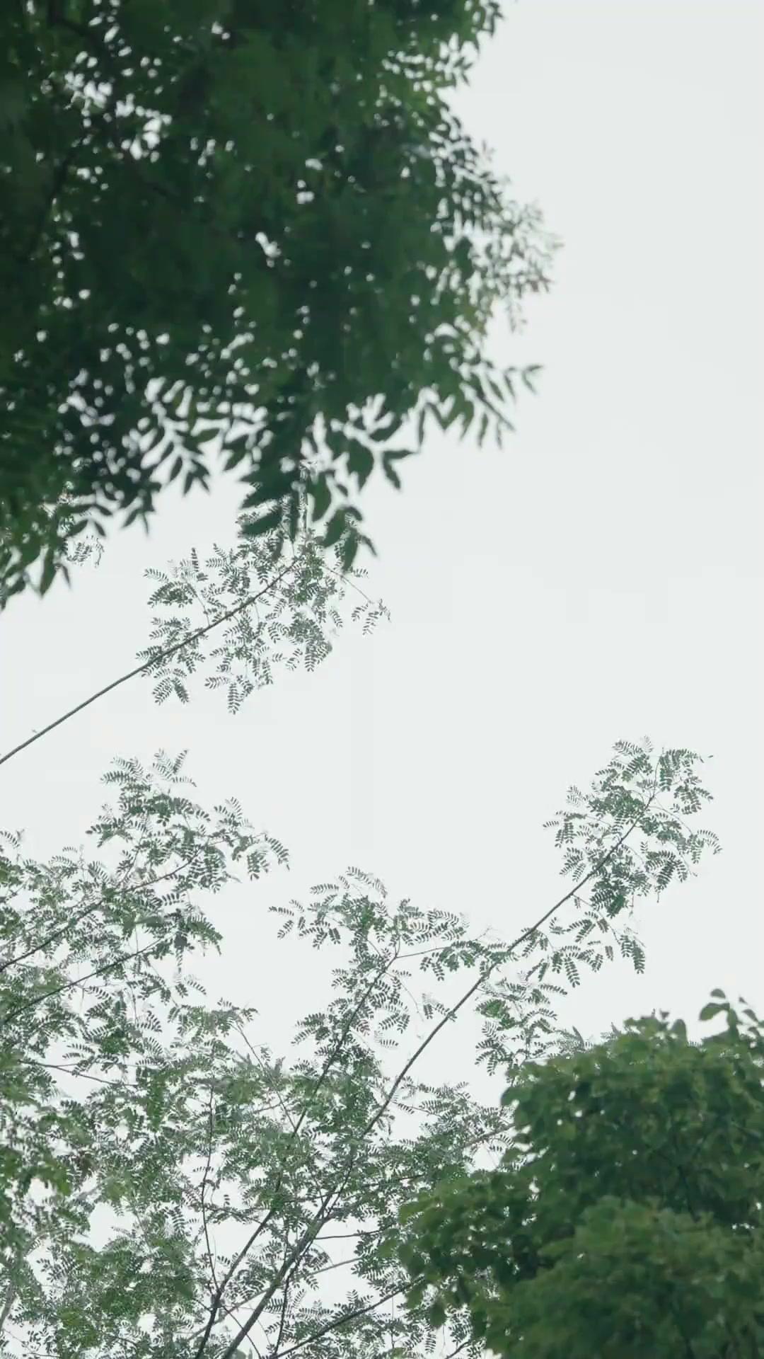 Kenapa Usik Dia
