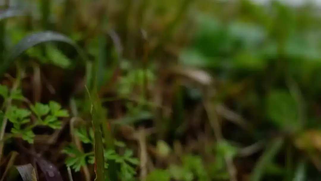 Anak kecil itu tahu lebih banyak daripada kita