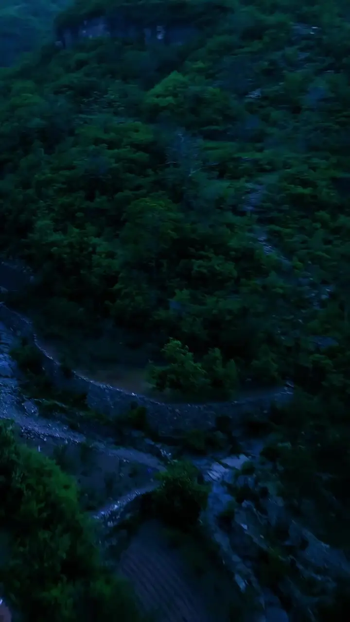 Who is the Bear in the Village? Episode 17