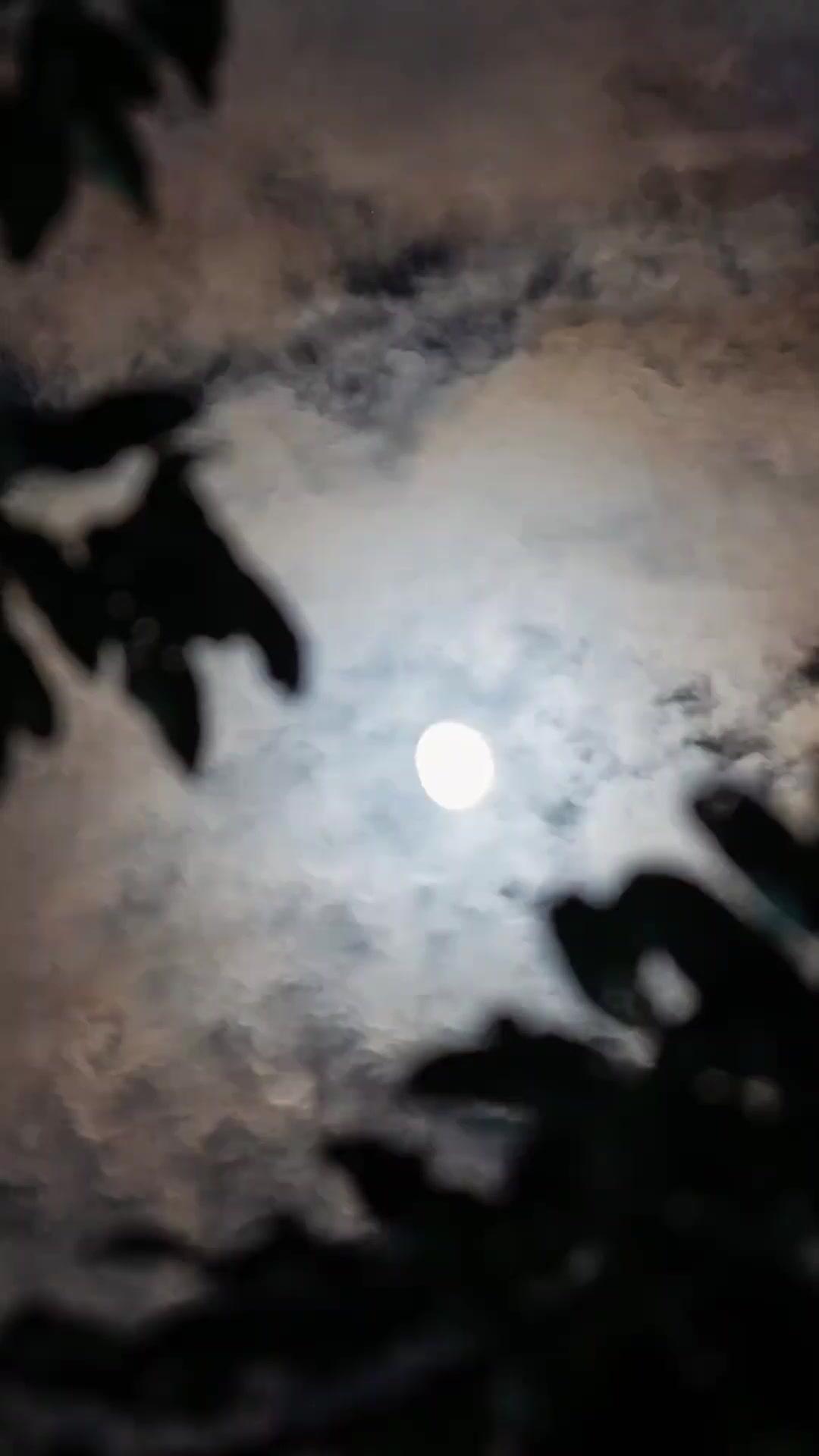 Tunangan Misterius