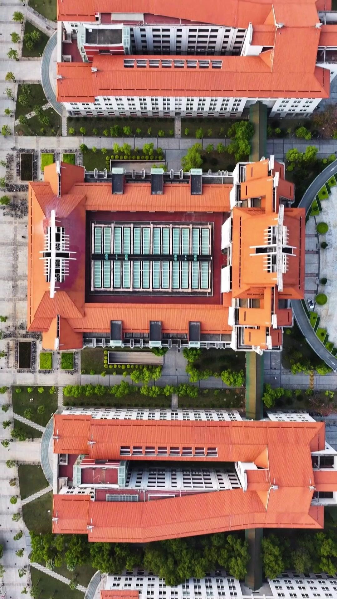 以愛為名，困於掌心