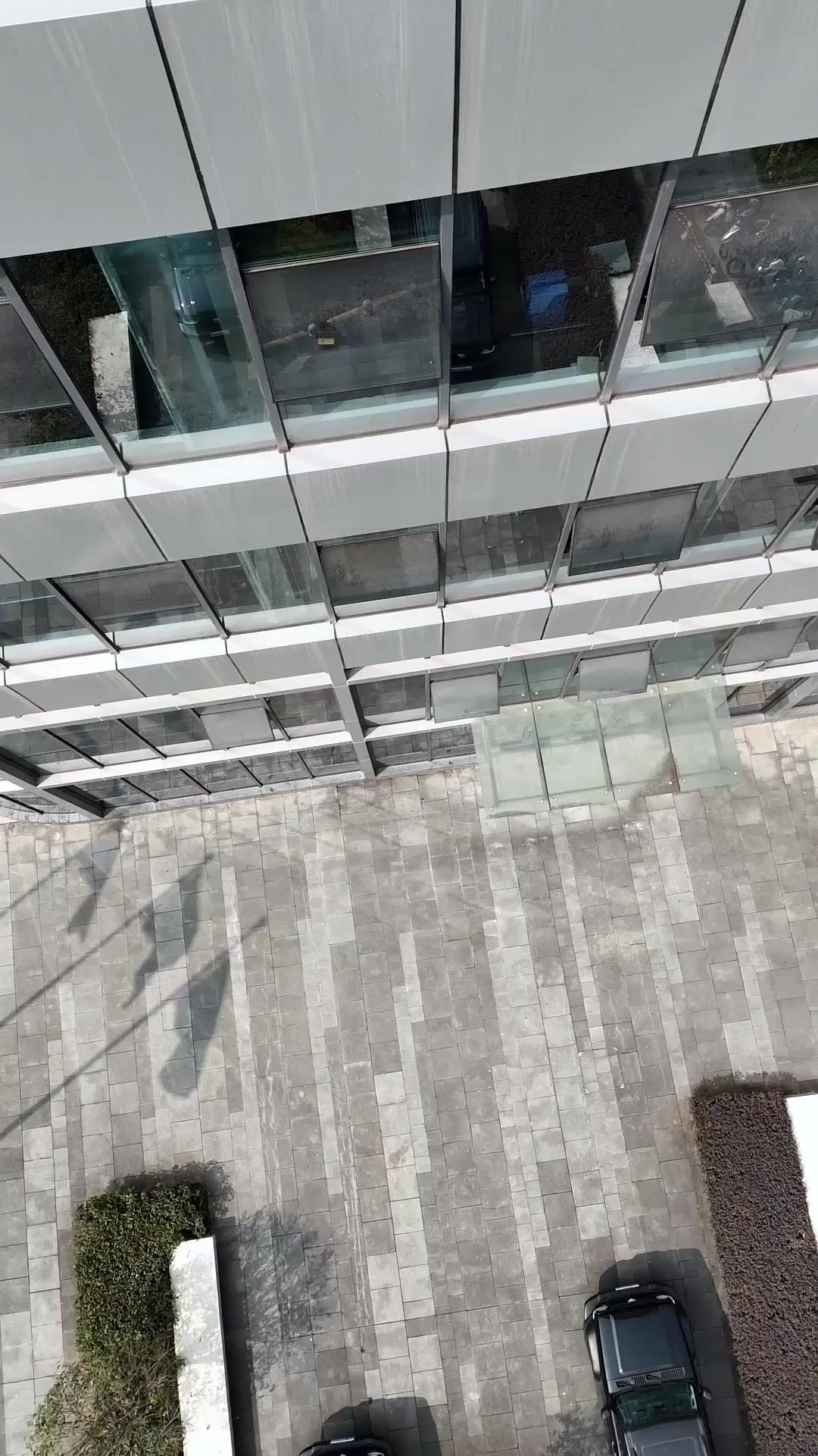 불멸의 영광