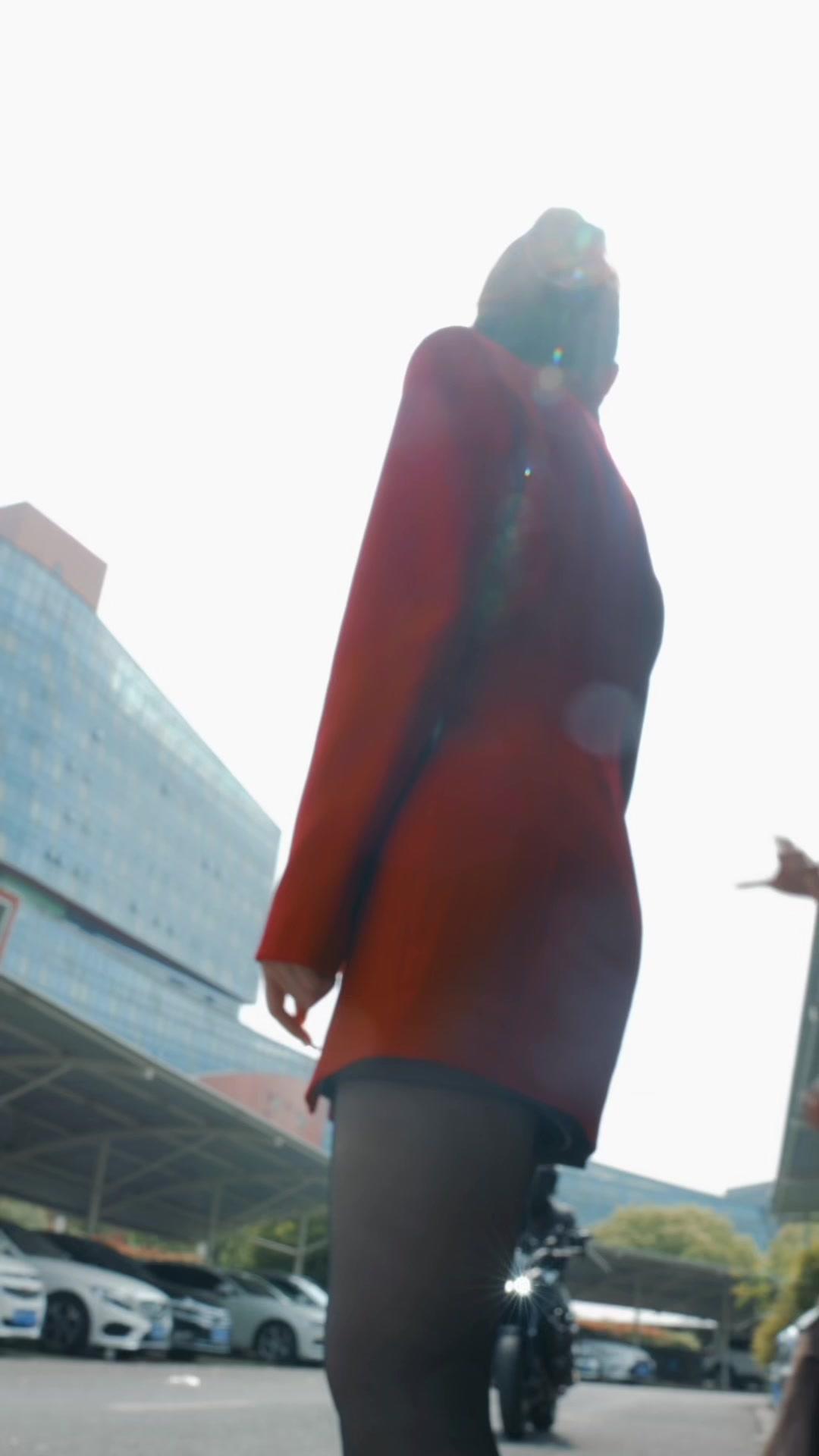 화려한 목줄