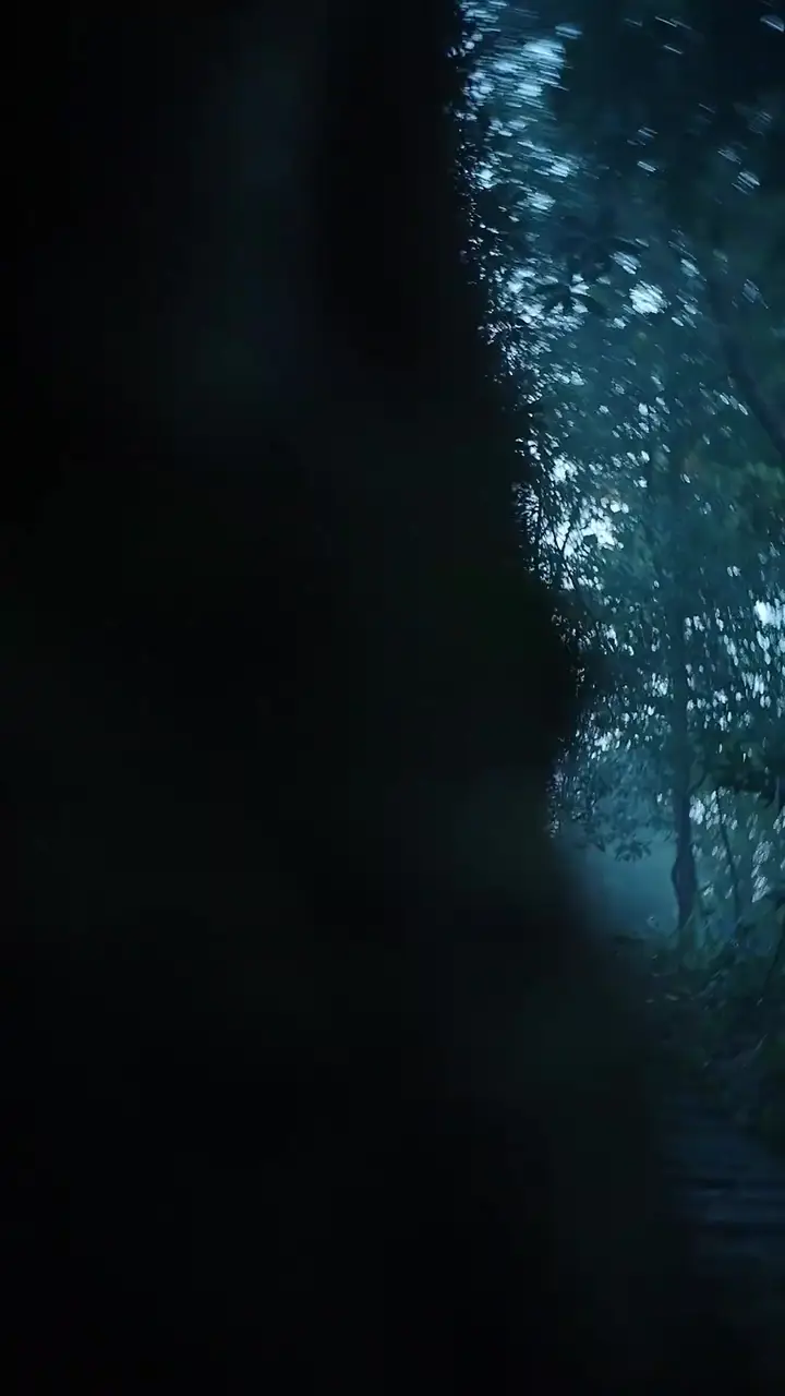 Episode 12
