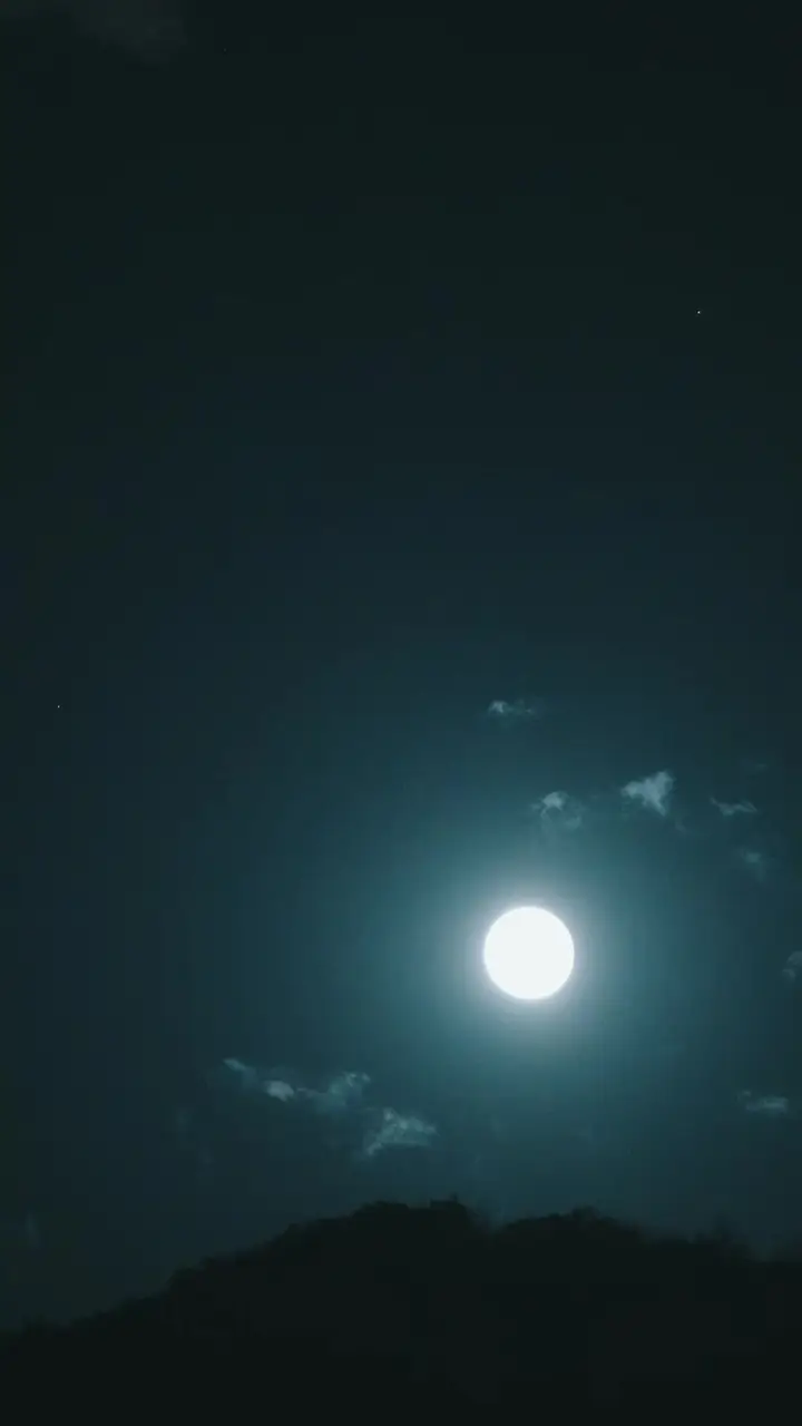 Episode 23