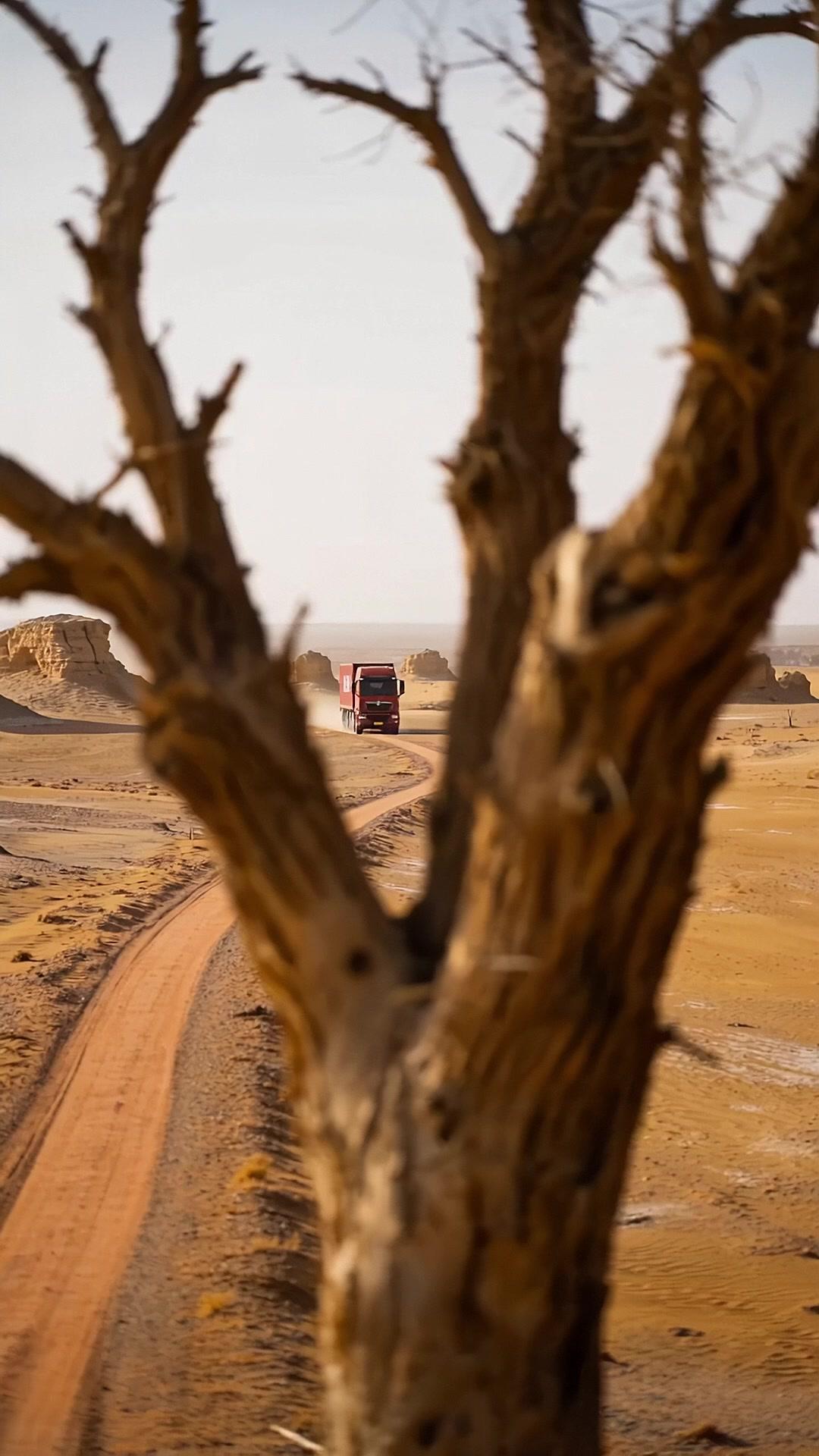 The Desert Trial: RUN!