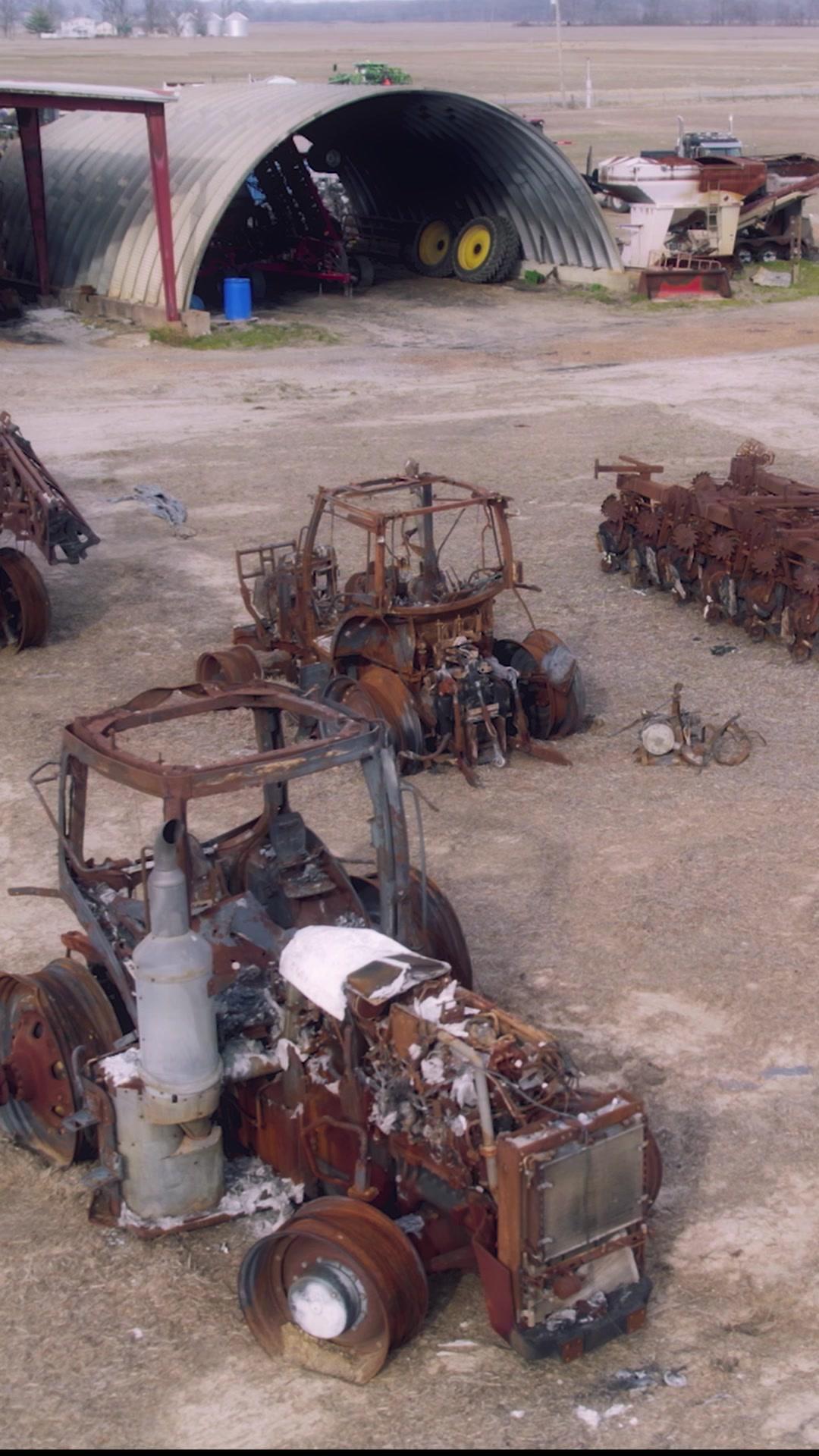 Rey bastardo de la jaula
