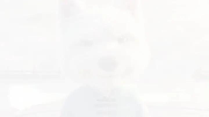 Episode 29