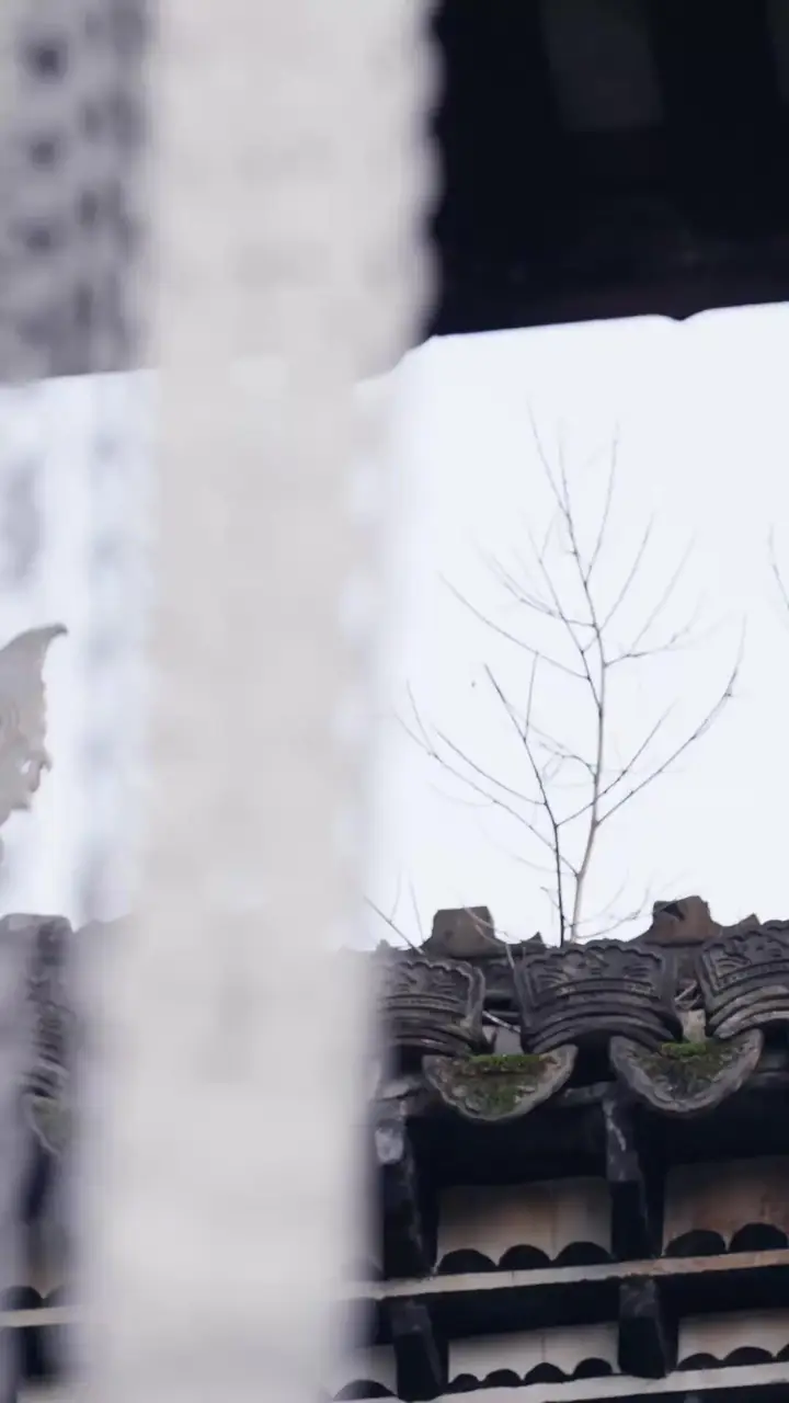 Her Wedding, Her Mother's Funeral Episode 5